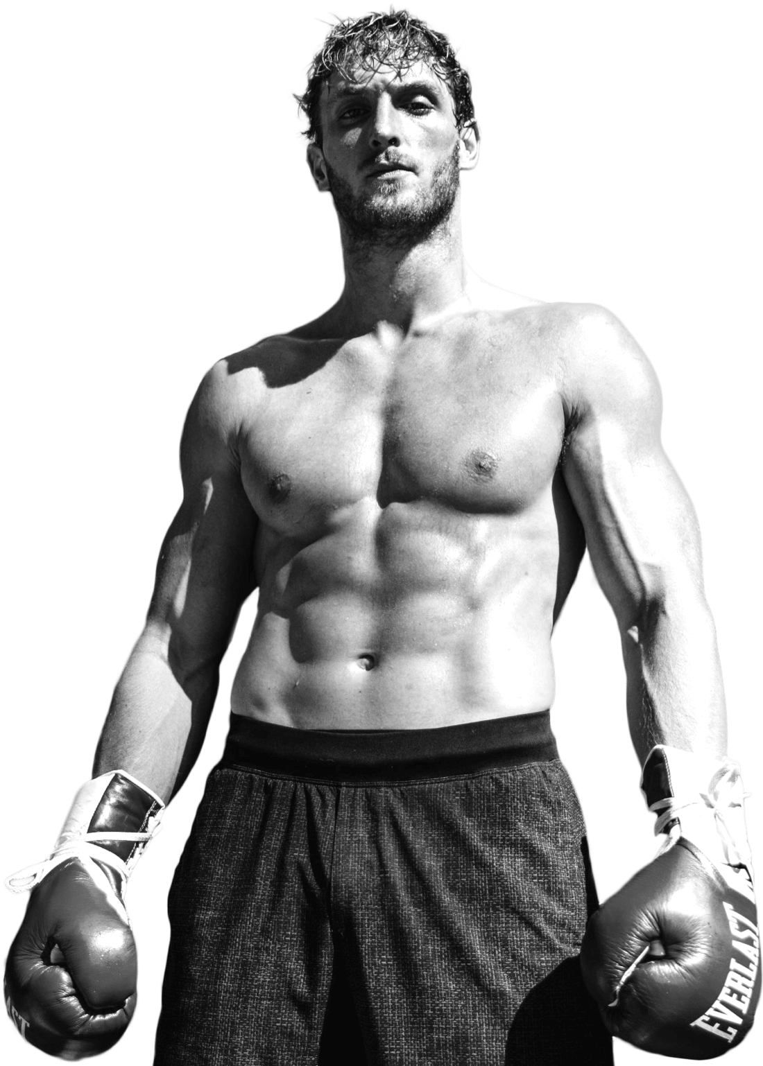 Logan boxer